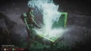 What happens when you spend 3,000 Souls in The Dead Woods (Mortal Kombat 11 Krypt)
