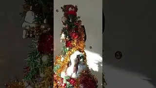 our Christmas tree and the llama from the Advent calendar with his new girlfriend