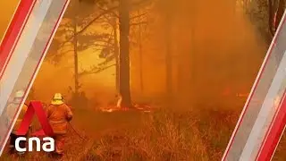 Sydney survives day of catastrophic bushfire danger