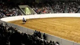 Laura Schoeller - 2010 Quarter Horse Congress Freestyle Reining