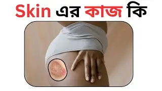 ত্বকের কাজ কি? Skin Layers Explained in Bangla। Health Easy Fitness - স্বাস্থ্য সেবা। #স্কিনকেয়ার