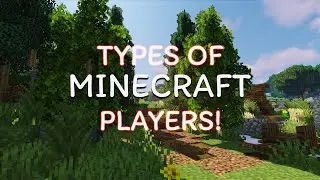 Different Types Of Minecraft Players!