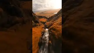 Go with the flow.. #nature #naturelovers #natureinmotion #viralvideo