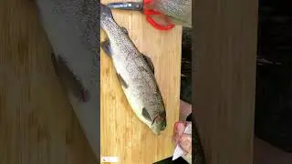 The Benefits of Eating 10 Different types of Fish 🐟🐡
