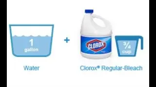 Bleach Solution Disinfectant