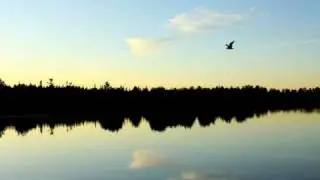 Michigan's New Department of Natural Resources and Environment
