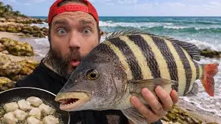 Catching Sheepshead from the Beach | Florida Catch and Cook