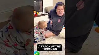 Baby attack #youtubeshorts #funny #baby #funnyvideos #attack
