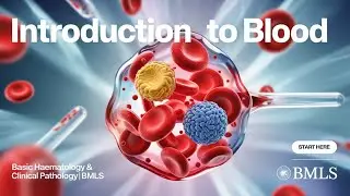 Introduction To Blood | RBC | WBC | Platelets | Basic Haematology & Clinical Pathology | BMLS
