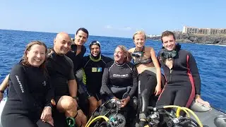 BUCEO EN TENERIFE