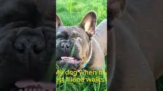 Thief vs friend