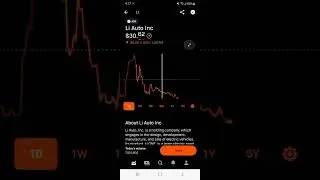 Li Auto Inc Robinhood Stock Market Investing