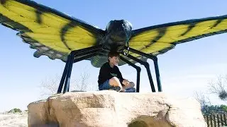 Springs Preserve Playground Update