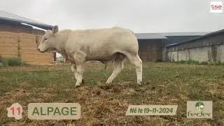 VENTE EN LIGNE FEDER - Alpage