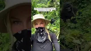 Wait till the end to see the baby cheat beat 🥹🦍 30 hours of flying, 12 hours of driving and a