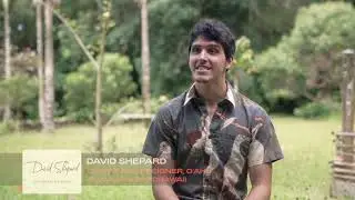 Stories of Hawaii Entrepreneurs: David Shepard Hawai'i