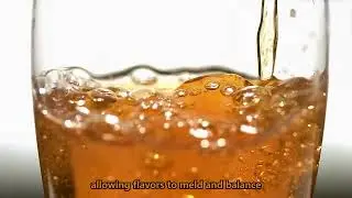 What is the ideal temperature to brew beer?