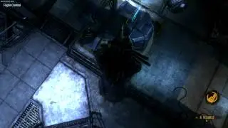 onoshitchingQUESTIONMARK.mp4