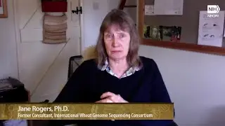 NHGRI's Oral History Collection: Interview with Jane Rogers