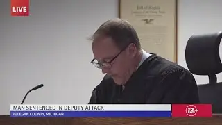 Judge sentences man who attacked deputy to prison