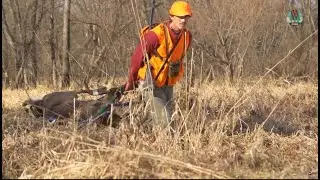 Tips for Hunting Public Land -- Wild Wisconsin 2019