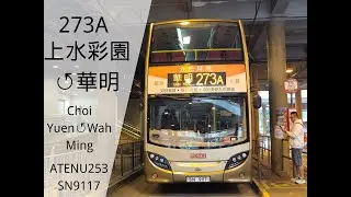 [兜路][行記EP218] 九巴273A線（上水彩園↺華明）KMB Route 273A (Sheung Shui Choi Yuen↺Wah Ming)(Original Speed)
