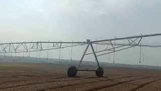 Day 50 Maize & Onion Spraying Update | Germination Check After P4 | Farm Irrigation Work