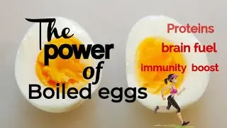 Why Boiled Eggs Are The Perfect Food