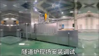 Stainless steel hot air circulation tunnel furnace (for food/grilled fish/main line drying)