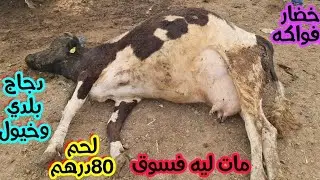 ماتلو بقرة(جابها إبيعها)فسوق خميس سيدي قاسم للحوم حمراء وخيول ودجاج بلدي وخضار وفواكه 2025/04/10