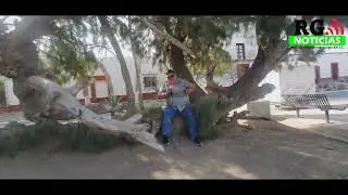 La Leyenda del Llor&oacute;n de Icamole
