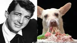 DOGS EATING PASTA | DEAN MARTIN - ON AN EVENING IN ROMA