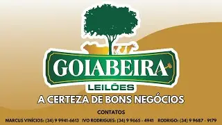 Leilão Misto de Gado  - 08.01.2026  na Goiabeira Leilões