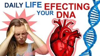 Secrets Of Nutrition And Epigenetics (Stress Surprising Impact)
