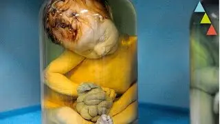 Los 10 museos m&aacute;s raros del mundo