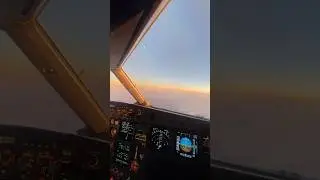 When the Horizon Turns Gold 🌅 | 16-Second Progressive House Moment | PILOTDJ