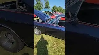 MINT CHEVELLE & BLOWN CAMARO - #cars #shorts #musclecar #carshow #shortvideo #carshorts #chevy