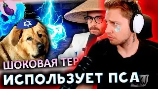 СТИНТ СМОТРИТ: ХАССАН ШОКИРОВАЛ ВЕСЬ ИНТЕРНЕТ(и свою собаку) || CLOWNWAY