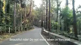 The 32 kms loop road in Yercaud