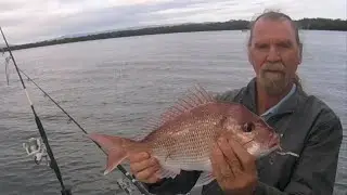 Gold Coast Broadwater Fishing (Better Than A Days Work):