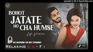 Bahot Jatate Ho Chah Humse || Relaxing Lo- FI Version | बहुत जताते हो छह हमसे | 90s Hindi Cover Song
