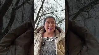 STOP 🛑 Știai că &bdquo;mașină&rdquo; NU e die Auto?
