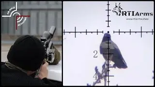 RTI Prophet - One Gun, Two Shooters; Crows and Pigeons