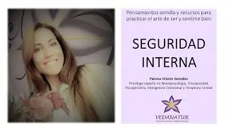 Seguridad interna
