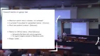 C. Judge - Systoles in translation surfaces