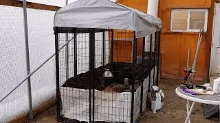 Ground Quail Enclosure
