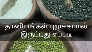 Tips To Long Shelf Life of Rice, Grains, Dal