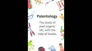What is Paleontology? | Quick Bio Buddy