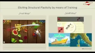 Presentation by Simone K&uuml;hn