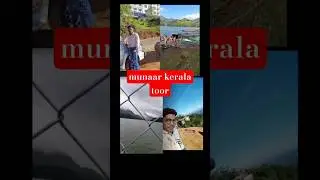 munaar toorestpls #travel #traveldestinations #fanivideo #travelideas #india #news #travelindia